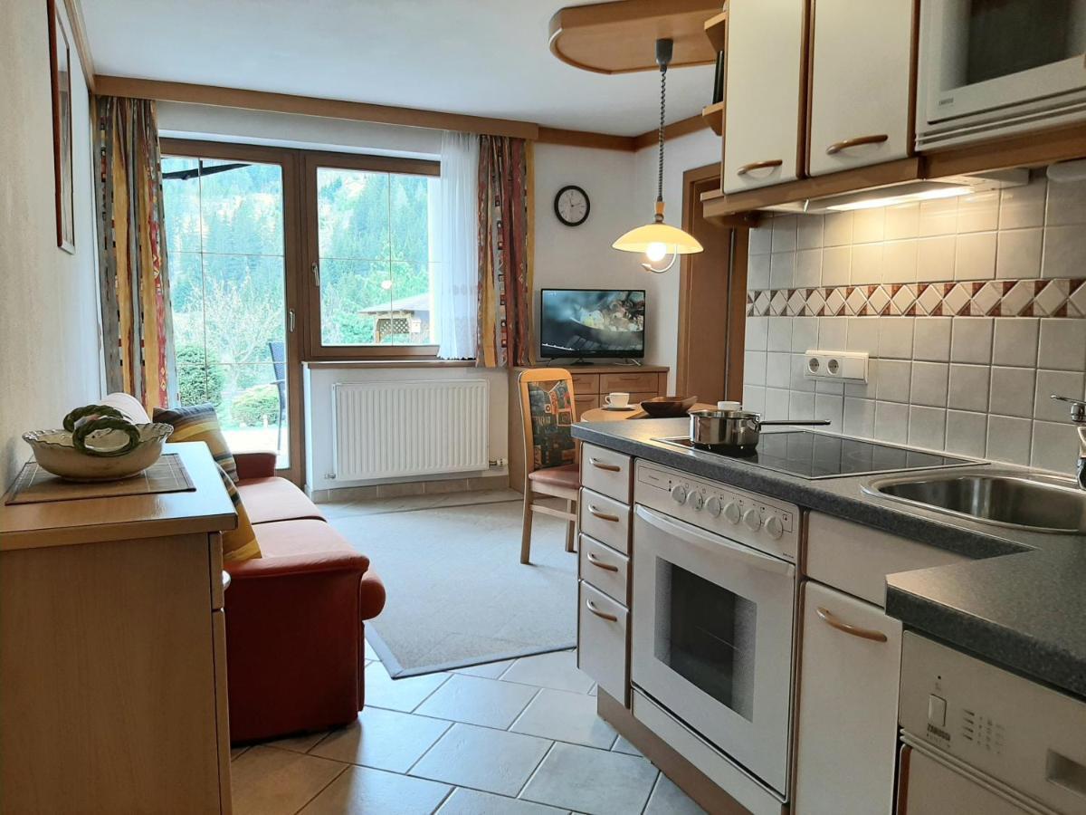 Lungau Apartment - Ferienwohnung Haus Esl Hintergoriach Экстерьер фото